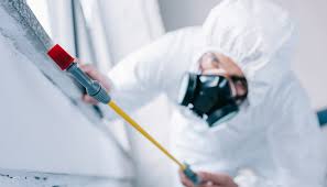 Best Pest Exclusion Services  in USA